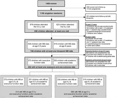 The prospective associations of 24-hour movement behaviors and domain-specific activities with executive function and academic achievement among school-aged children in Singapore